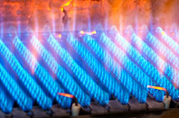 Romannobridge gas fired boilers